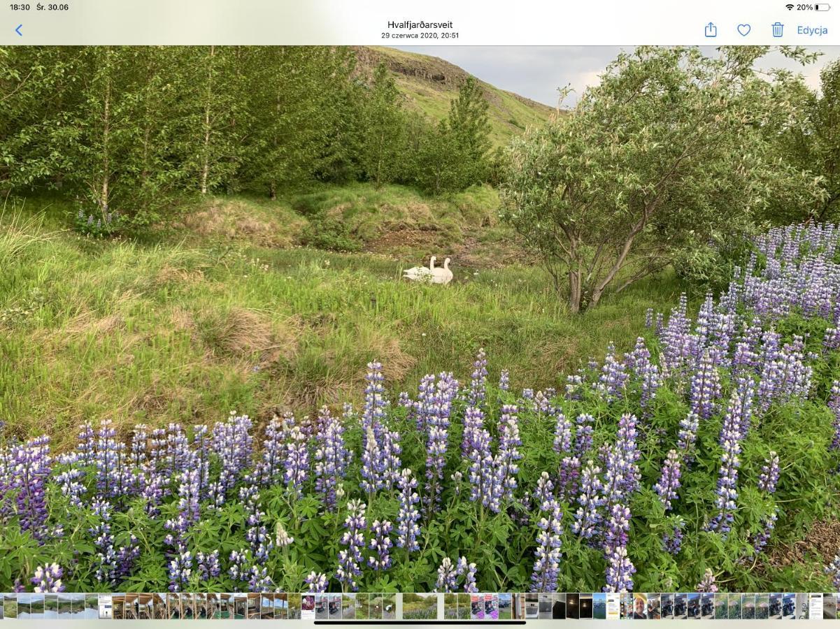 אקראנס Icelandic Lake House מראה חיצוני תמונה